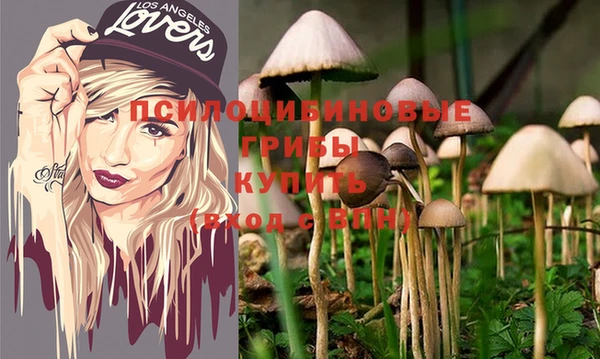 ешки Бронницы