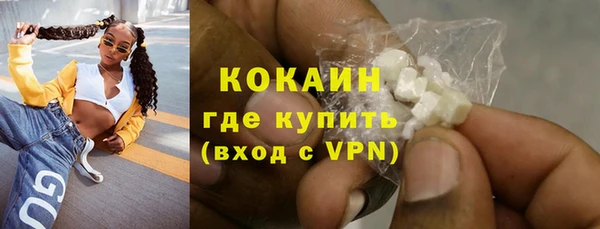 ешки Бронницы