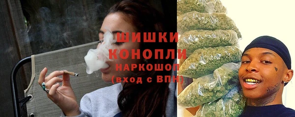 ешки Бронницы