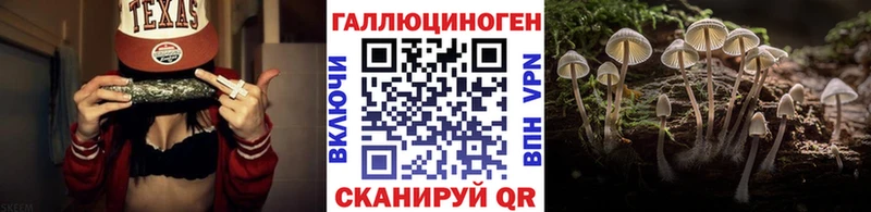 Купить где  Уяр  Галлюциногенные грибы Psilocybe 